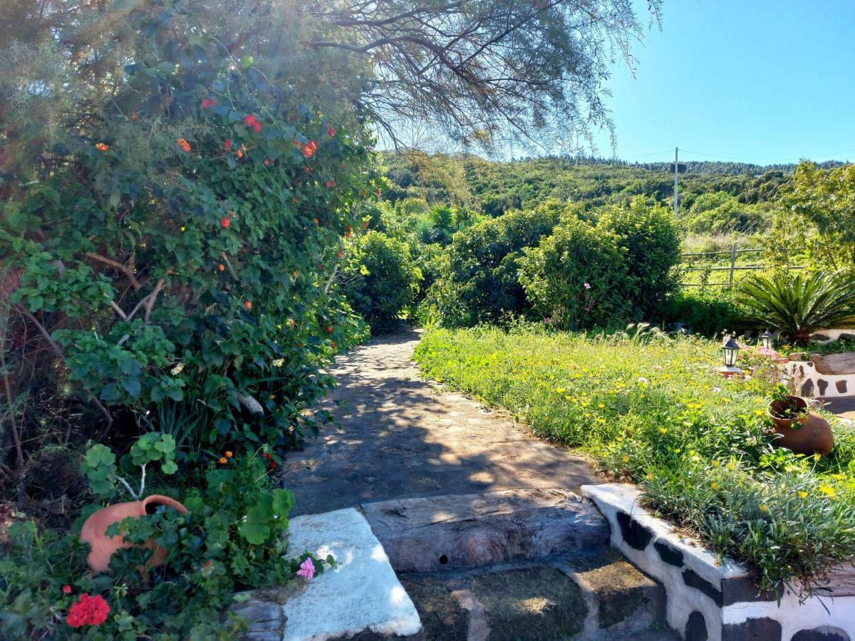 Villa El Jaral à Garafía Extérieur photo